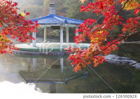 Morning view of a misty lake with red maple leaves 126300928