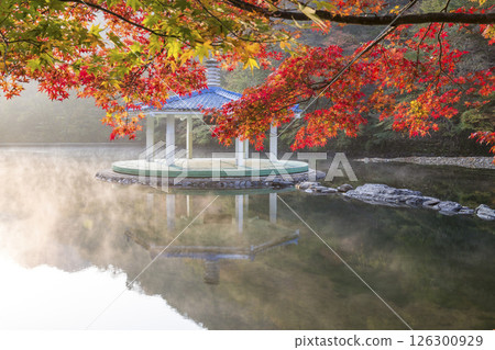 Morning view of a misty lake with red maple leaves Morning view of a misty lake with red maple leaves 126300929
