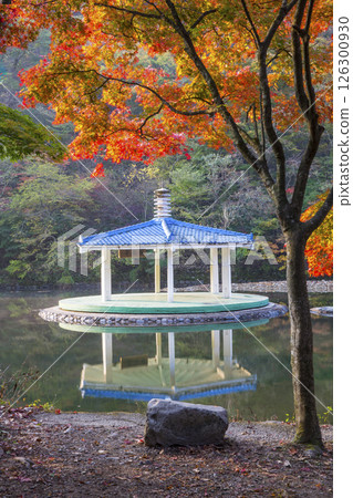 Morning view of a misty lake with red maple leaves Morning view of a misty lake with red maple leaves 126300930