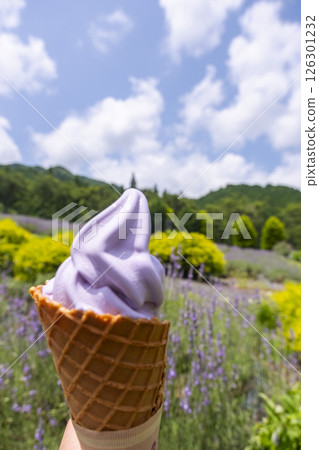 薰衣草花 Hiruzen Kogen 126301232