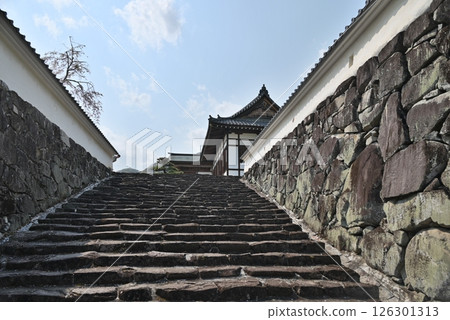 Tatsuno Castle - Castle interior 126301313