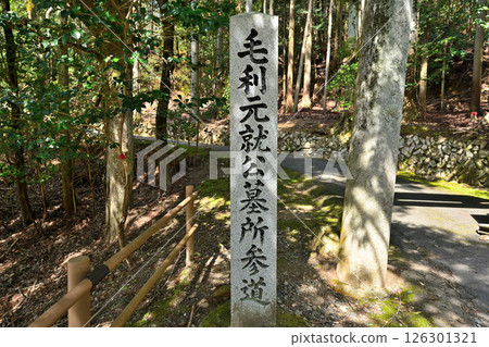 Akikoriyama Castle, where Mori Motonari's public tomb is located. A look at the baileys. 126301321