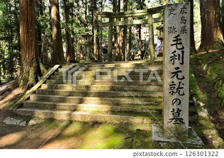 秋纈山城，毛利元就的公墓所在地。看看貝利酒。 126301322