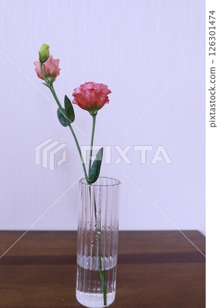 粉紅色洋桔梗 126301474