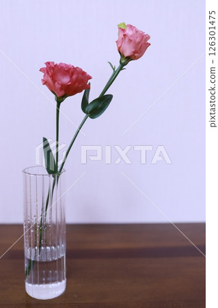 Pink lisianthus 126301475