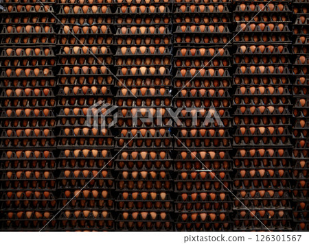 Pile stacks of brown eggs in trays from an agricultural egg farm factory. For wholesale market. 126301567