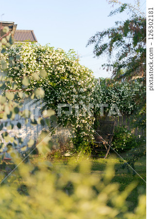 綠樹環繞的自然花園 126302181