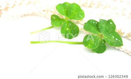 白色背景上的珍珠項鍊和四葉草和五葉草 白色背景上的珍珠項鍊和四葉草和五葉草 126302349
