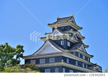 藍天映襯下，城堡塔樓和國家重要文化財產月見塔格外醒目 126302641