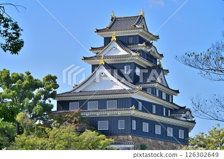 The castle tower and the Tsukimi Tower, a national important cultural property, stand out against the blue sky 126302649