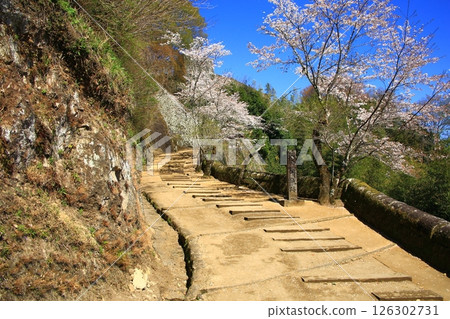 Oka castle ruins Oka castle ruins 126302731