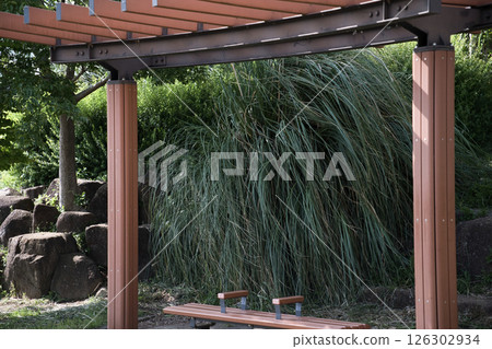 Shaded bench in the park 126302934