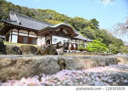 Tatsuno Castle Museum exterior 126303029