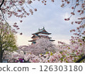 櫻花環繞的高島城遺址 126303180