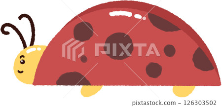 ladybug ladybug 126303502