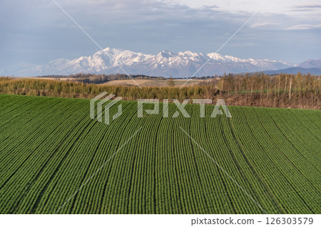 初春的山丘和土地 126303579