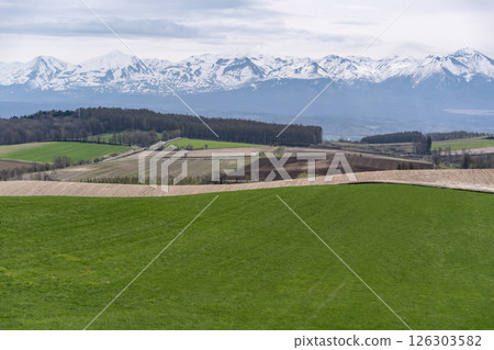 Hills and earth in early spring 126303582