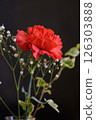Red carnations and gypsophila 126303888