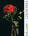 Red carnations and gypsophila 126303943