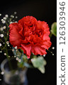 Red carnations and gypsophila 126303946