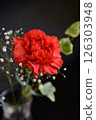 Red carnations and gypsophila 126303948