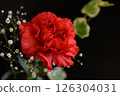 Red carnations and gypsophila 126304031
