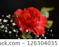 Red carnations and gypsophila 126304035