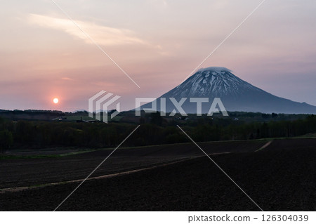 山羊Yotei在早晨發光 山羊Yotei在早晨發光 126304039