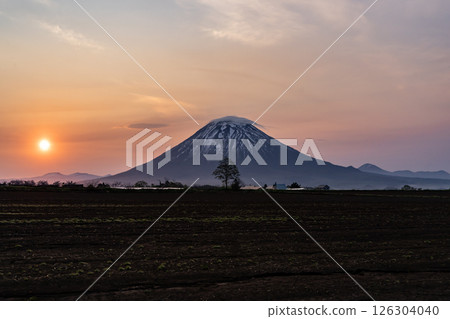 山羊Yotei在早晨發光 山羊Yotei在早晨發光 126304040