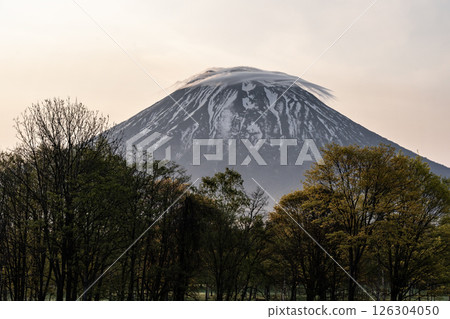Mountain Yotei in the morning glow 126304050