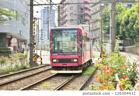Railway: Streetcar: Toden Arakawa Line 8900 series (No. 8906) 126304431