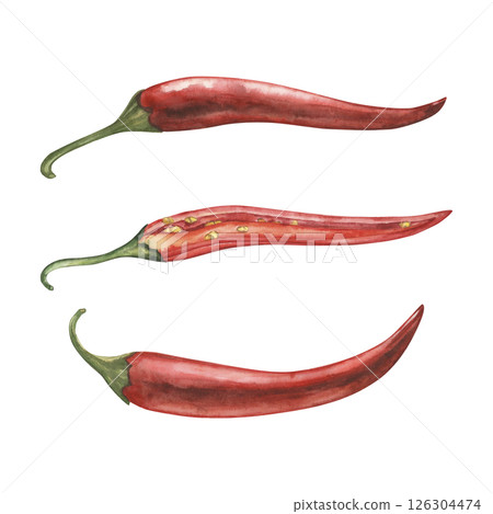 Whole and cut red chili pepper pods isolated on white background. Botanical watercolor hand drawn illustration of spicy vegetables with green stems. For packaging design, restaurant menu, kitchen 126304474
