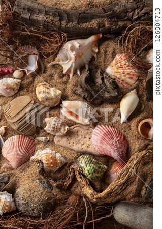 Beach themed background with snags, shells, stones, and sand. 126304713