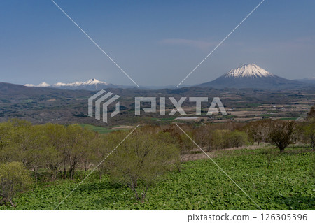 初春的二世古地區 126305396