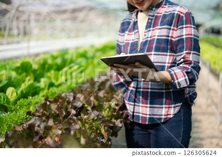 Asian female farmer wearing is caring for organic vegetables inside the nursery.Young entrepreneurs with an interest Asian female farmer wearing is caring for organic vegetables inside the nursery.Young entrepreneurs with an interest 126305624