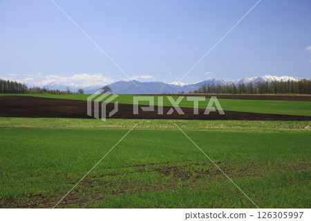 早春的土地 126305997