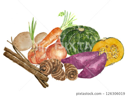 Illustrations of various winter vegetables drawn in watercolors [hand-drawn] on a white background for cutting out, with copy space 126306019