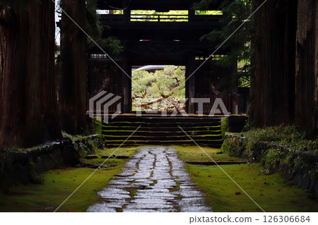 The green world of Jionji Temple in Suwa, Nagano Prefecture The green world of Jionji Temple in Suwa, Nagano Prefecture 126306684