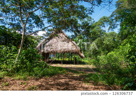 Traditional hut in Siona indigenous village, Cuyabeno Reserve, Amazonia, Ecuador 126306737