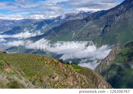 Condor flying in Colca Canyon with a clear blue sky, Peru 126306767