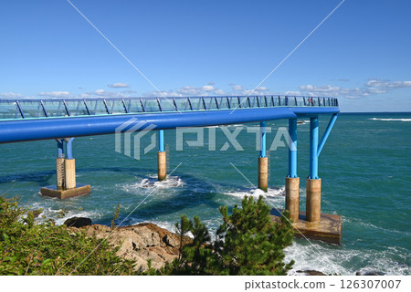 [Korea/Busan] Cheongsapo Dalit Observatory, Haeundae District 126307007