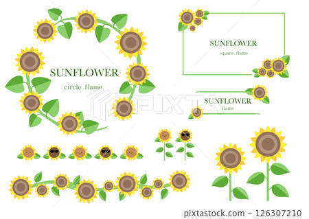 Sunflower flower illustration frame set (with text) Vector illustration 126307210