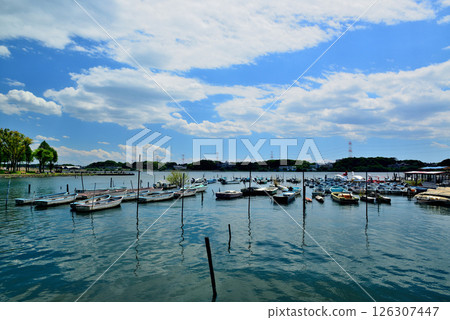 Chiba Prefecture Teganuma Park Boat Ride Chiba Prefecture Teganuma Park Boat Ride 126307447