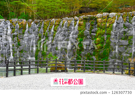 Lake Yamanaka Flower City Park view 126307730