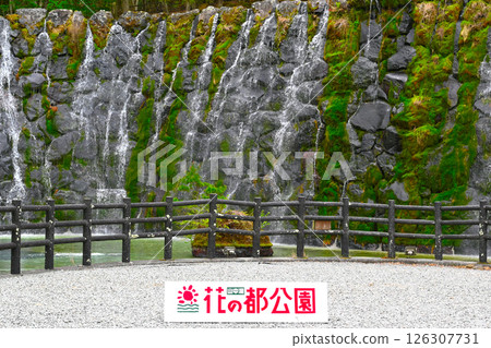 Lake Yamanaka Flower City Park view 126307731
