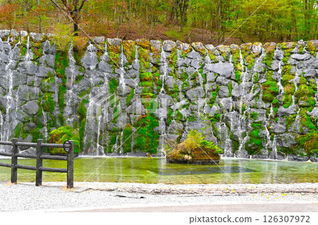 Lake Yamanaka Flower City Park view 126307972