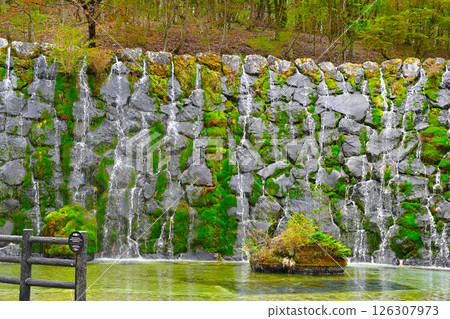 Lake Yamanaka Flower City Park view 126307973