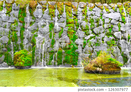 Lake Yamanaka Flower City Park view Lake Yamanaka Flower City Park view 126307977