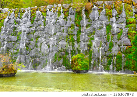 Lake Yamanaka Flower City Park view Lake Yamanaka Flower City Park view 126307978