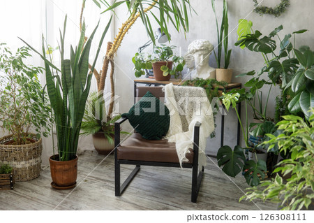 A fragment of the interior with a variety of indoor plants and plaster sculptures. Urban jungle concept. Biophilia design. A fragment of the interior with a variety of indoor plants and plaster sculptures. Urban jungle concept. Biophilia design. 126308111